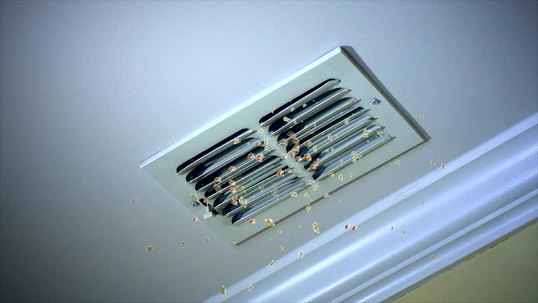 Best Air Duct Cleaning Near Me  in Wilsons Mills, NC